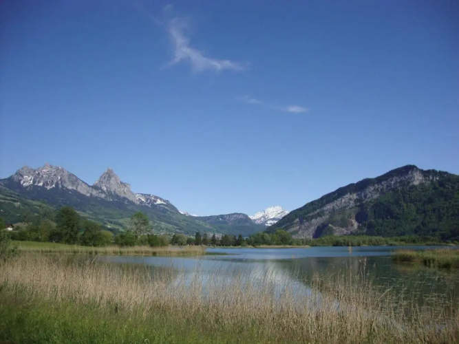 Hirschfarm, Goldau