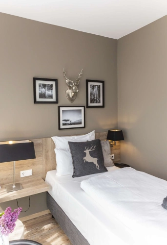 Standard Single room