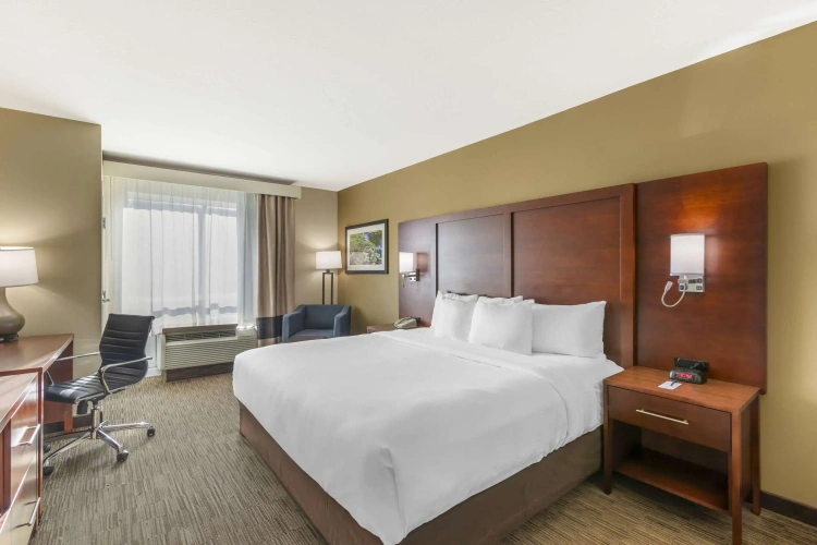 Standard Double room