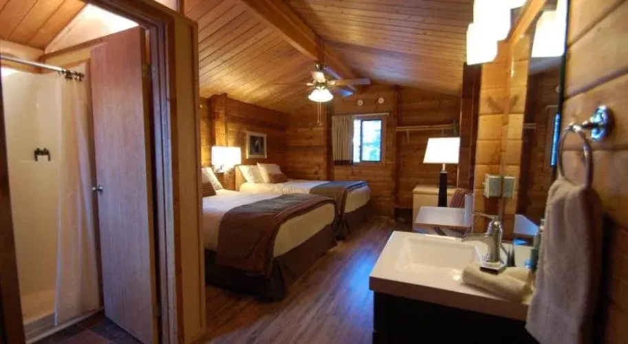 Denali Cabins