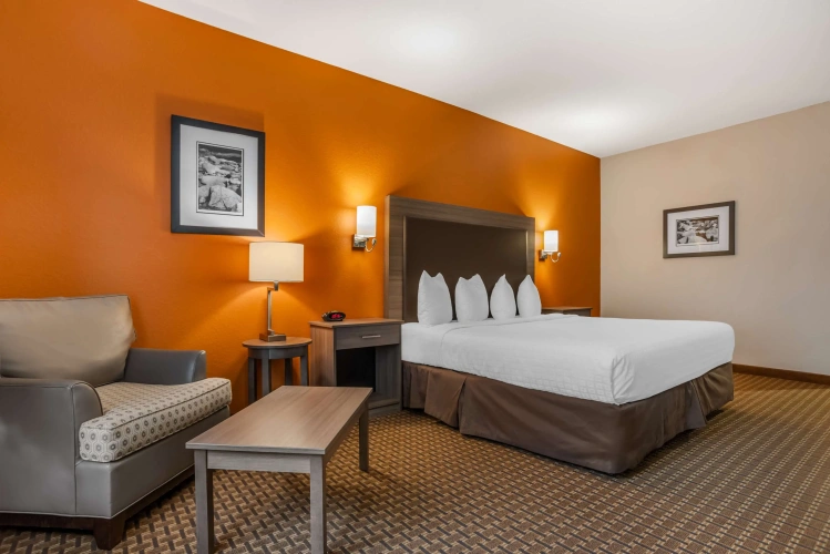 Standard Double room