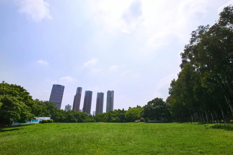 Shenzhen Milton Bontique Hotel