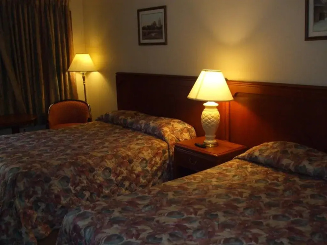 Forest Plaza Motel
