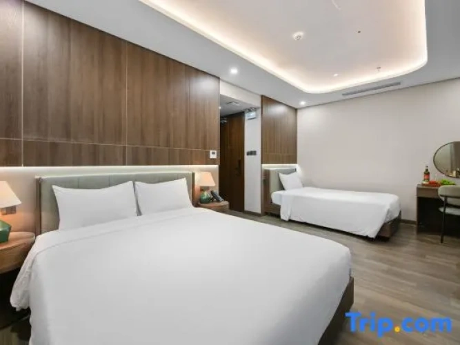 Standard Triple room with city view