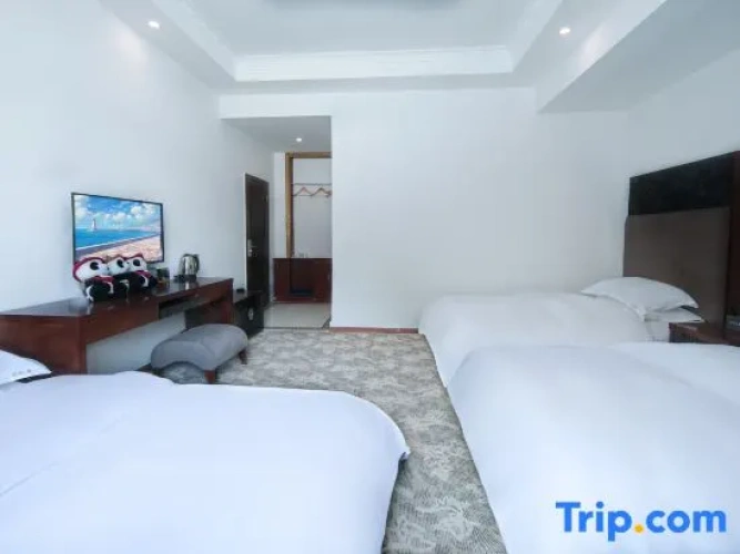 Deluxe Triple room