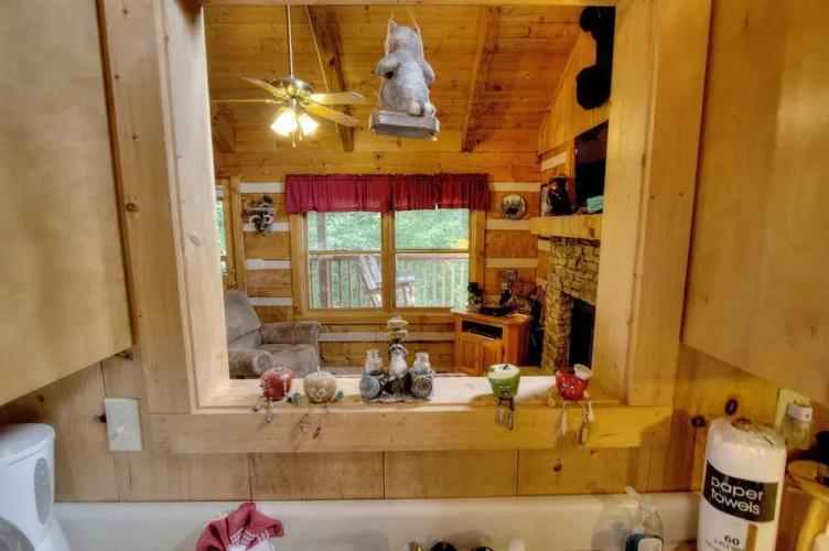 Apple Bear View #116