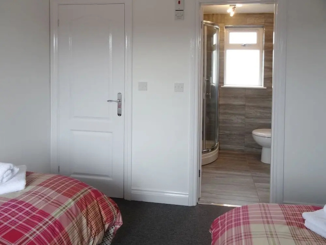 Lilys Pad