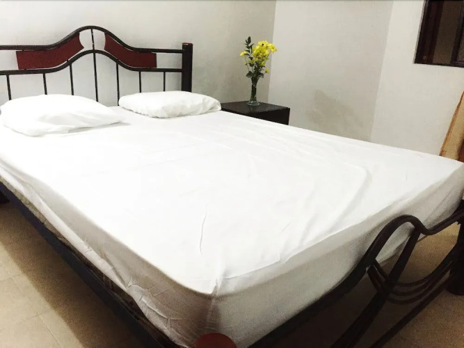 Bananas Hostel