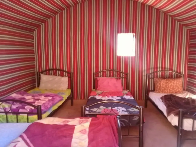 Wildlife Camp