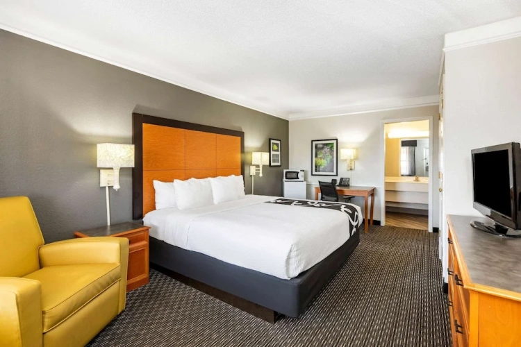 1 Bedroom Suite