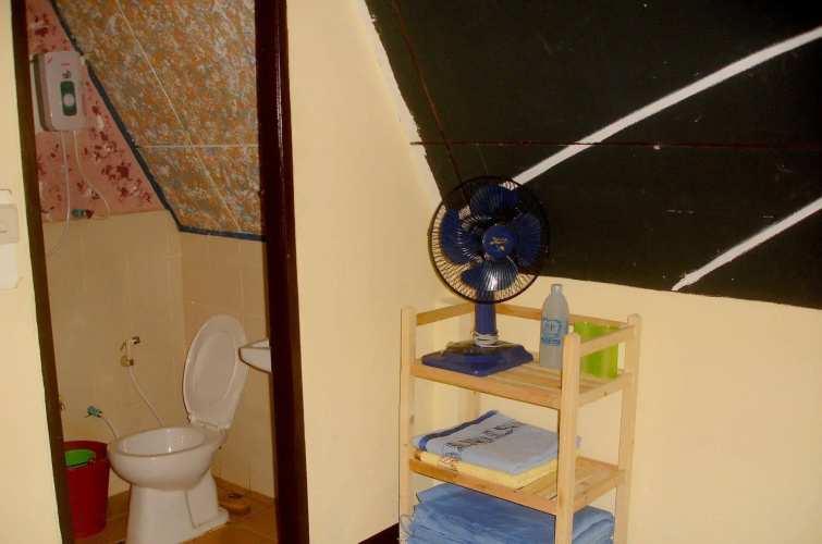 Jungle Zone - Hostel