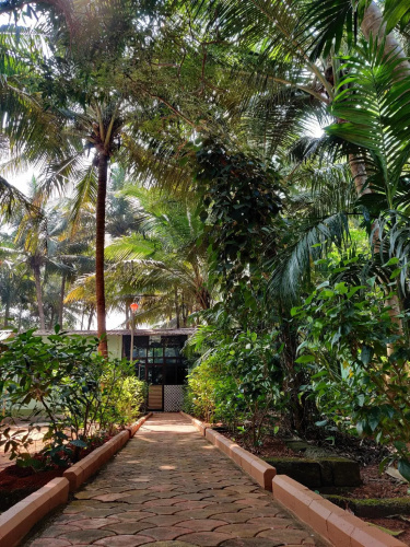 JD Home Stay