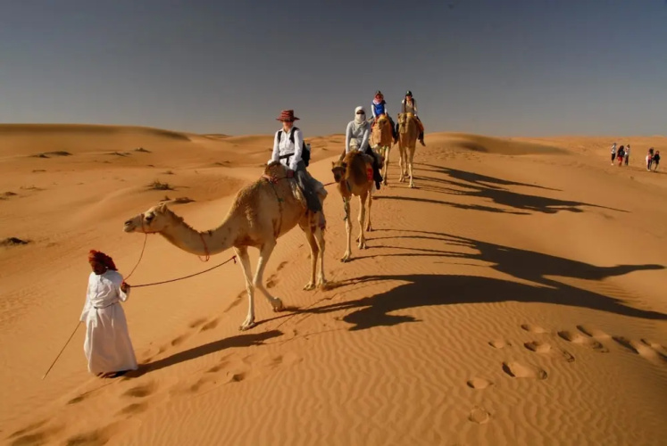 Golden Desert Camp