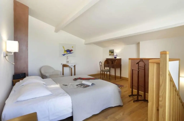 Superior Double room with balcony and with view