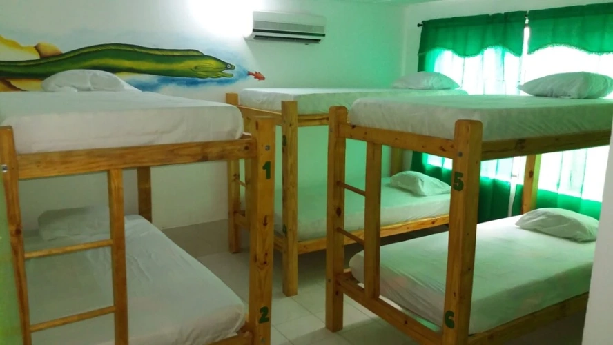 Bed in Dorm