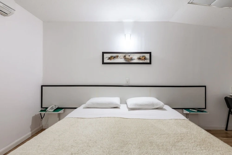 Deluxe Single room