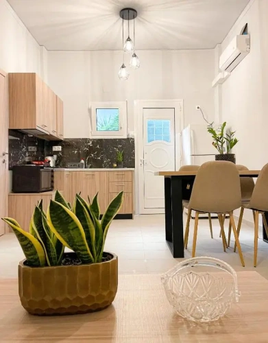 1 Bedroom Apartment