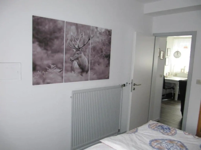 Double Basement Apartment
