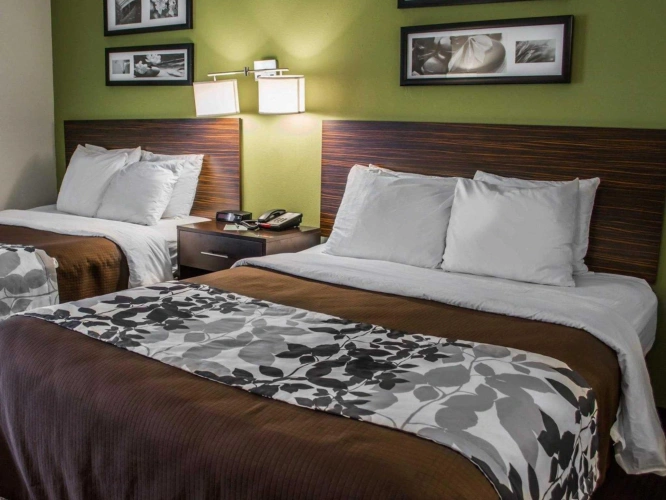 Standard Quadruple room