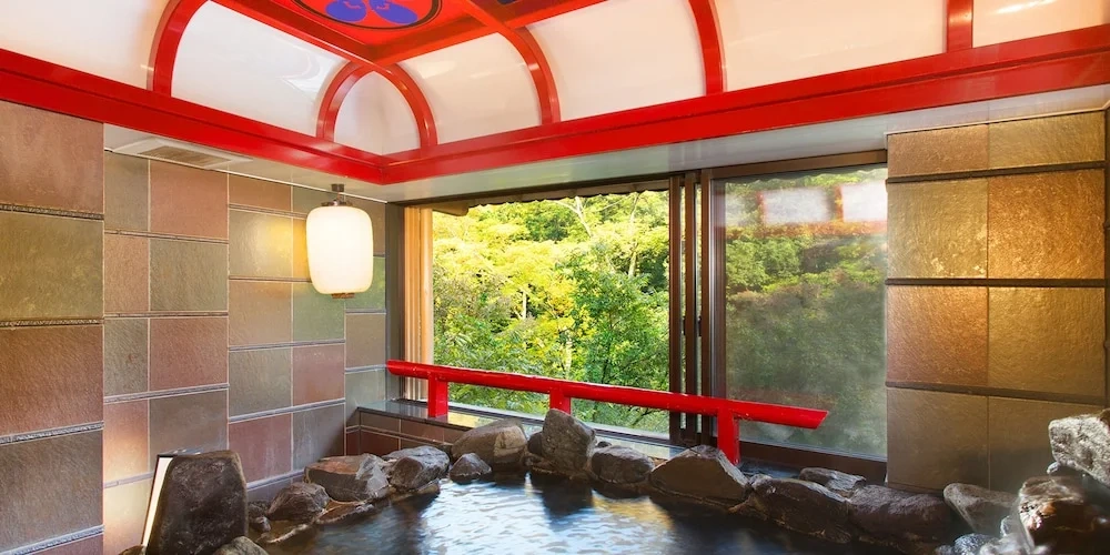 Standard Twin room with river view