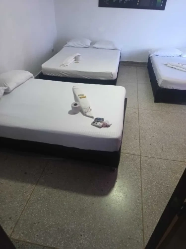 Business Triple room
