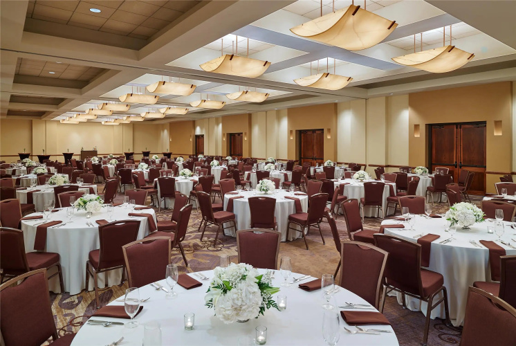 DoubleTree by Hilton San Antonio Airport photo 25
