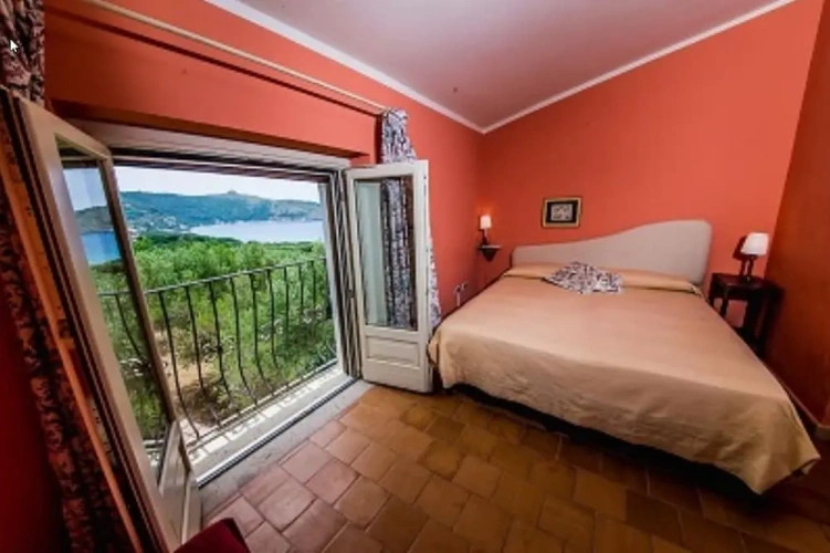 Standard Double room with balcony and with sea view