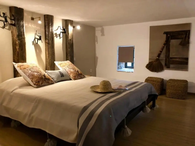 Jungle Suite