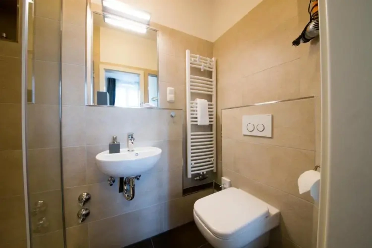 Deluxe Single room