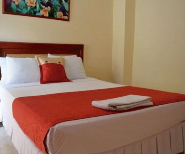 Hotel El Andino