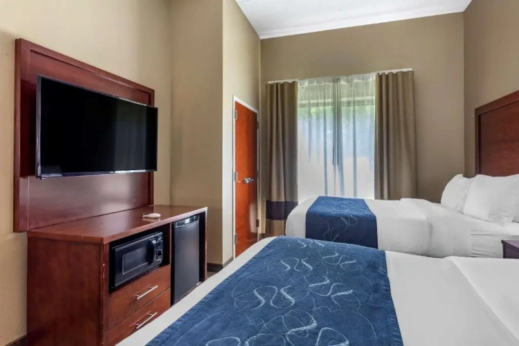 Standard Suite