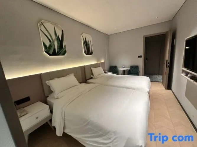 Standard Suite