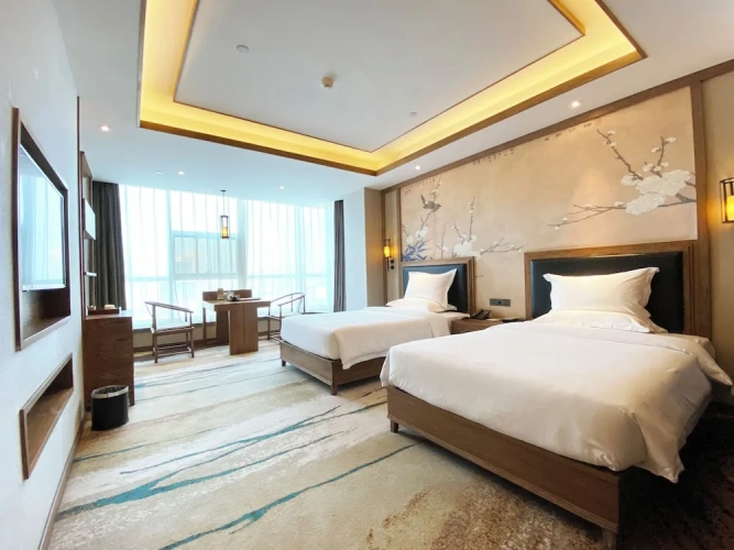 Deluxe Twin room with city view