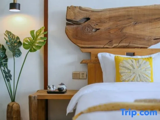 Premium Double room with balcony and with lake view