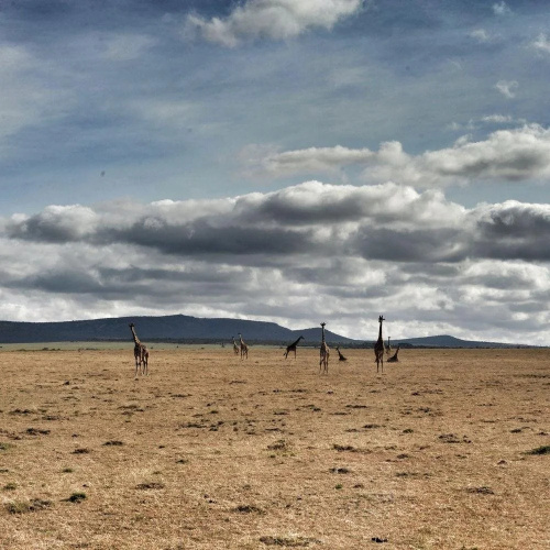 Encounter Mara Camp