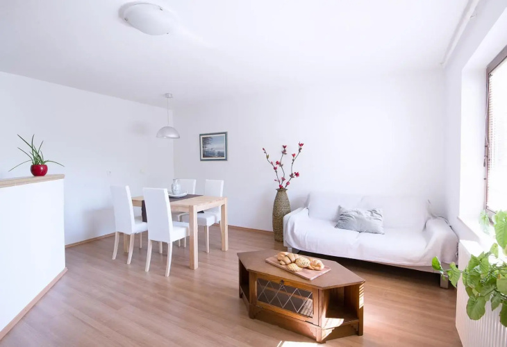 Apartmaji Baron