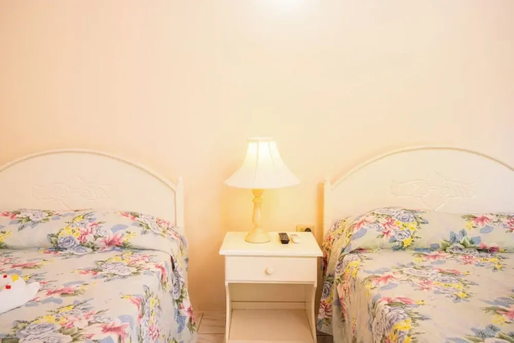 Economy Double room with balcony and with garden view