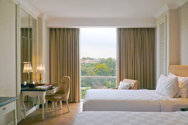 Deluxe Twin room with garden view