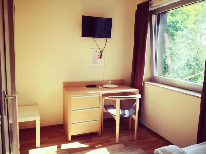 Standard Single room with garden view