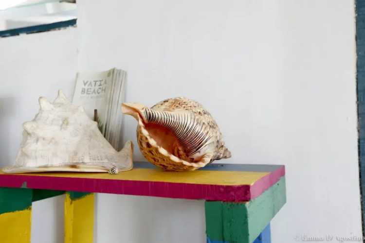 Vatia Beach Lodge