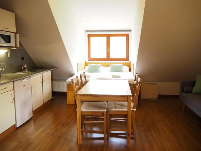 1 Bedroom Apartment