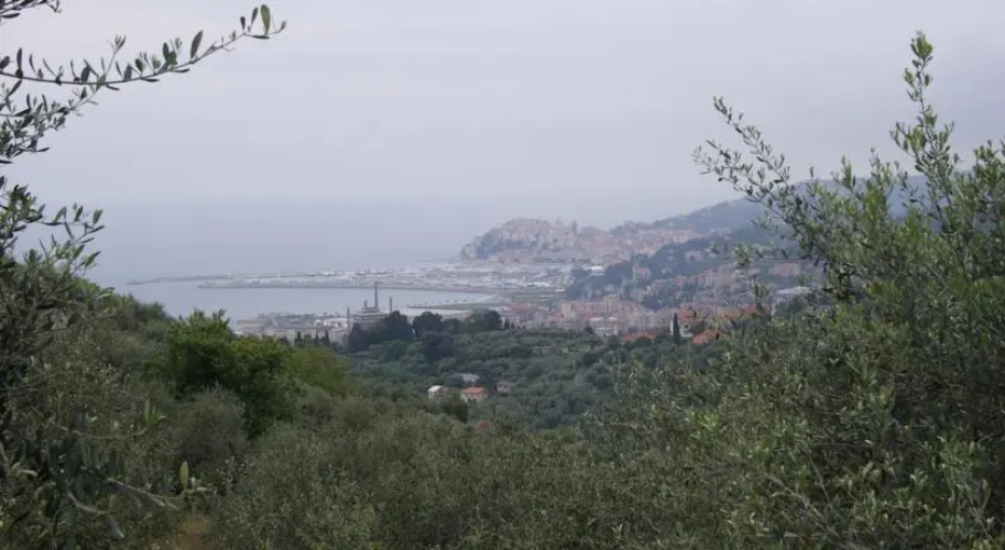 A Casa Di Paolo