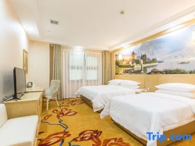 Deluxe Twin Family room