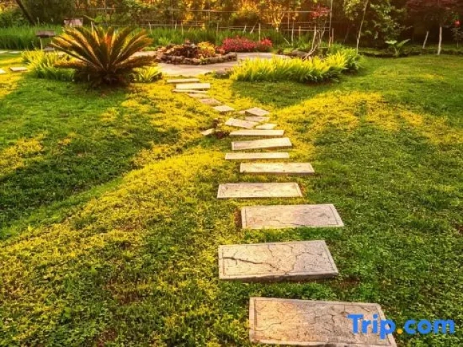 Watermark