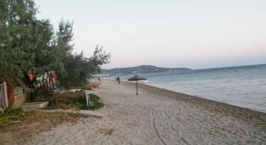 Gunes Yali