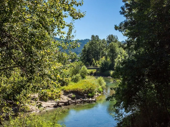 Premium Double room with river view