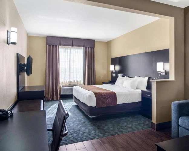 1 Bedroom Suite