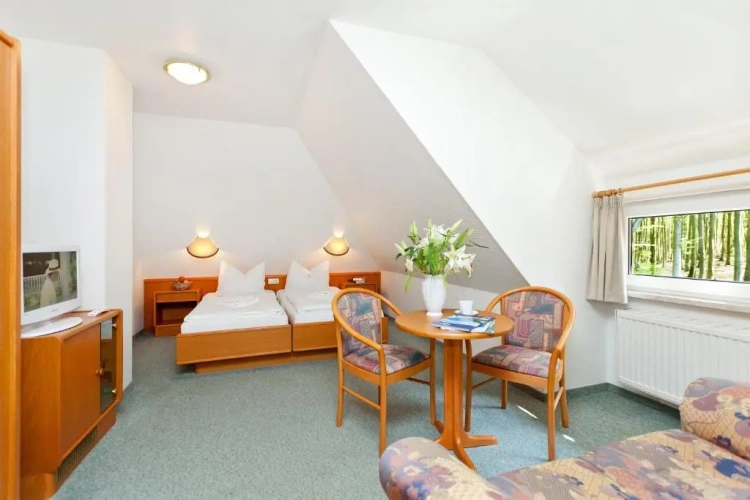 Standard Double room