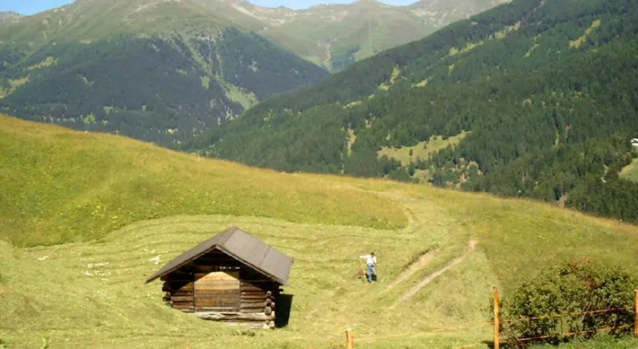 Tendershof