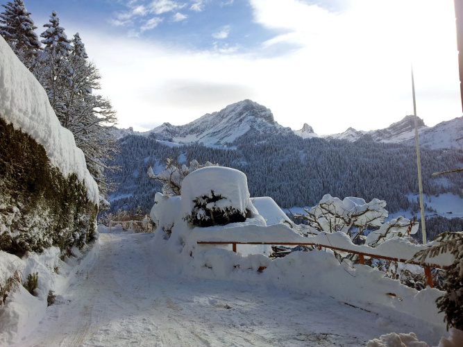 Chalet Zan-Fleuron